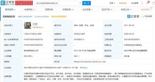 计算机软硬件技术开发 协同演进与未来展望