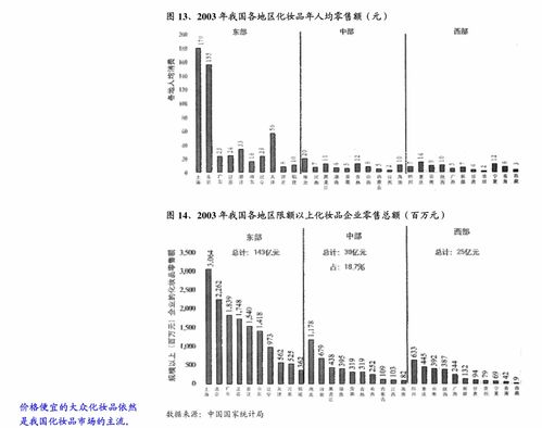 丝路视觉补充法律意见书（二） 计算机软硬件技术开发合规与实证分析
