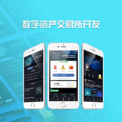 移动定制手机软件与计算机软硬件技术开发 新时代的数字化驱动力